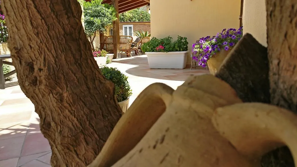 B&B Villa Maiolica San Leone Bed & Breakfast